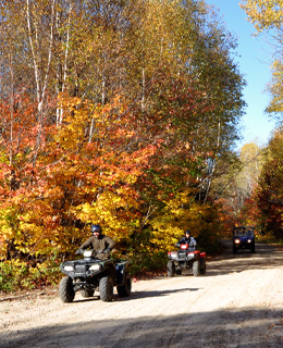 Des quads sur un sentier en forêt.