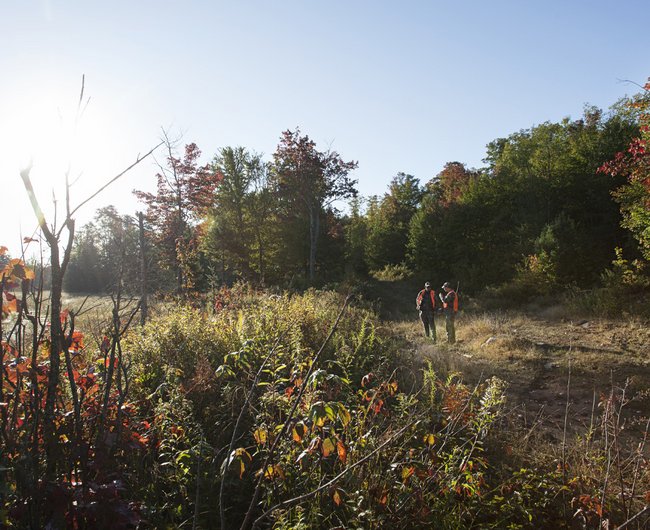 Deux chasseurs qui discutent en forêt