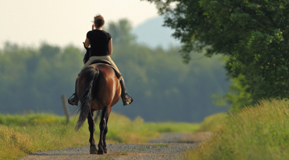 Une personne à cheval